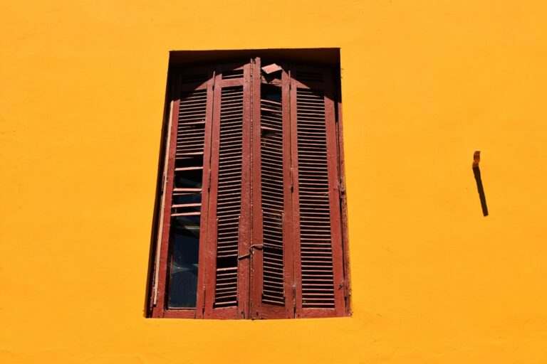 Tipos de estores para ventanas grandes.