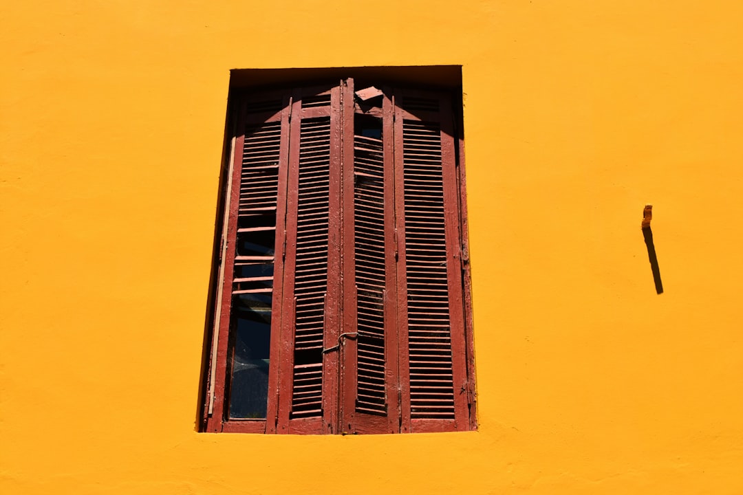 Tipos de estores para ventanas grandes.