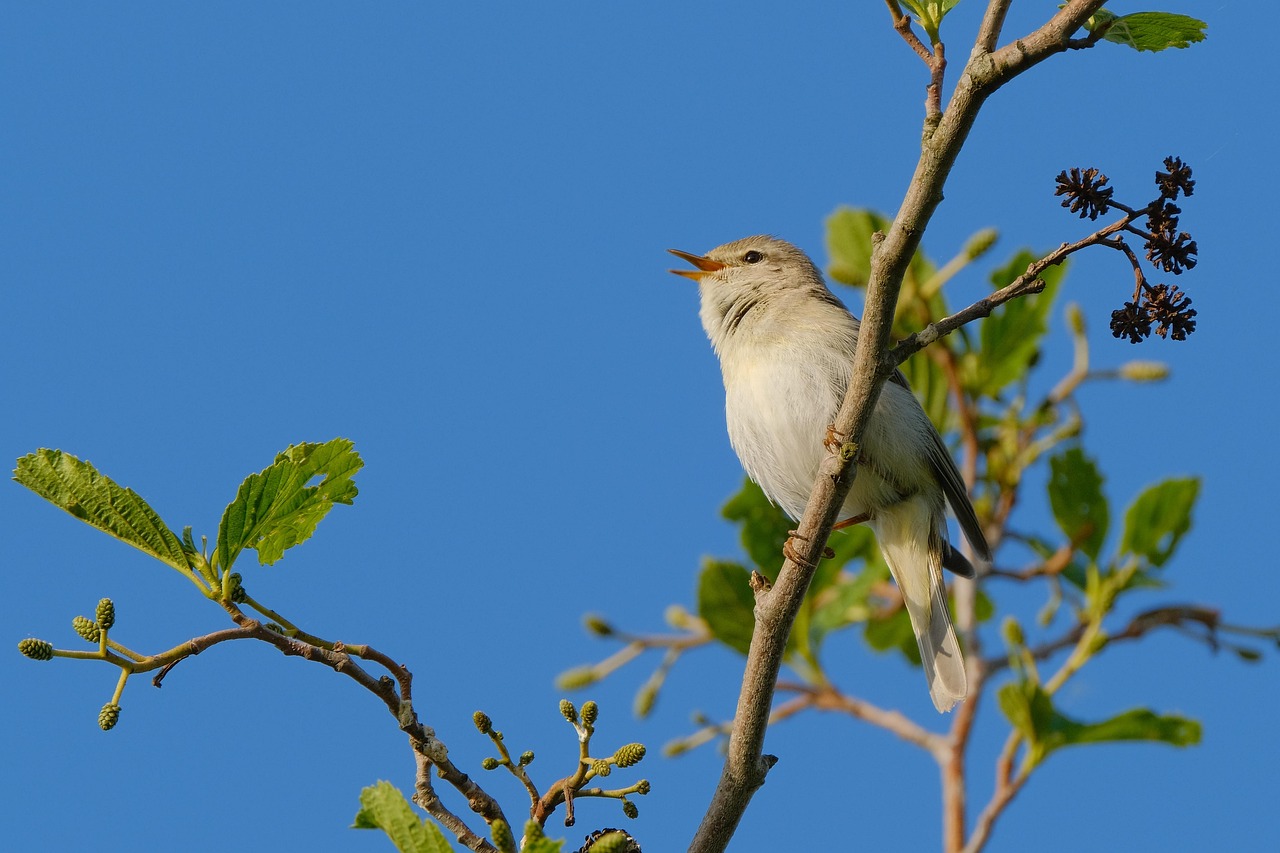 Cortinas Venecianas: Control Total de la Luz y la Privacidad.